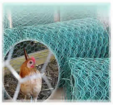 Chicken Wire Netting